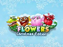 Flowers: Christmas Edition